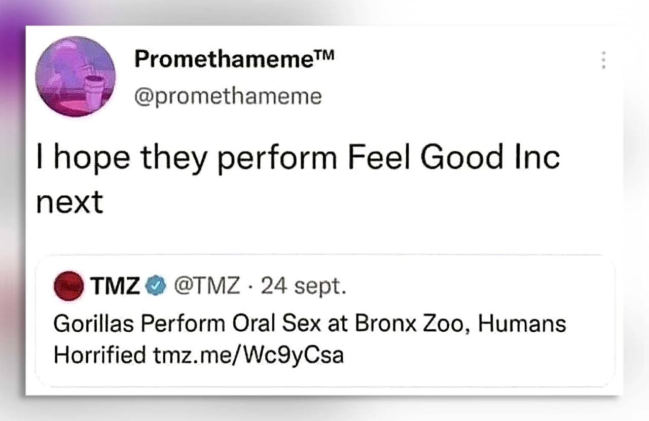 Promethameme™ @promethameme hope they perform Feel Good Inc next TMZ @TNZ 24 sept. Gorillas Perform Oral Sex at Bronx Zoo, Humans Horrified tmz.me/Wc9yCsa