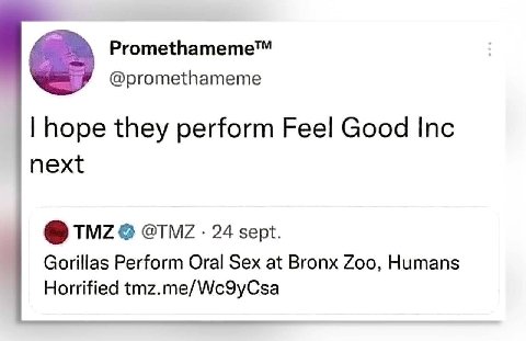 Promethameme™ @promethameme hope they perform Feel Good Inc next TMZ @TNZ 24 sept. Gorillas Perform Oral Sex at Bronx Zoo, Humans Horrified tmz.me/Wc9yCsa