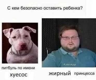 С кем безопасно оставить ребенка? питбуль по имени хуесос жирный принцесса