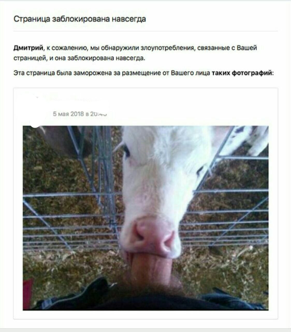 Страница заблокирована навсегда Дмитрий, к сожалению, мы обнаружили злоупотребления, связанные с Вашей страницей, иона заблокирована навсегда. Эта страница была заморожена за размещение от Вашего лица