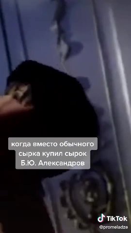 когда вместо обычного сырка купил сырок Александров TikTok @promeladze