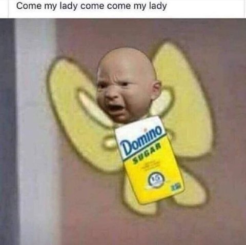 Come my lady come come my lady