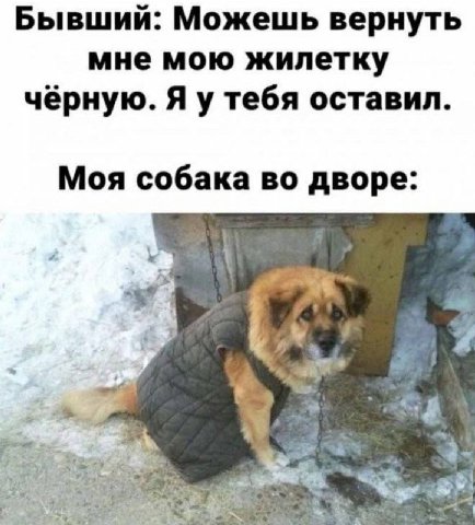 Бывший: Можешь вернуть мне мою жилетку чёрную. Я у тебя оставил. Моя собака во дворе: 7: 4