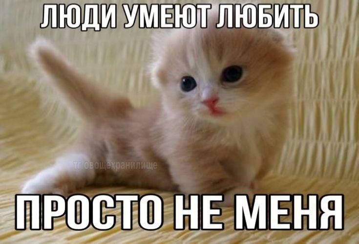 ЛЮДИ УМЕЮРЛЮБИТЬ НЕ МЕНЯ