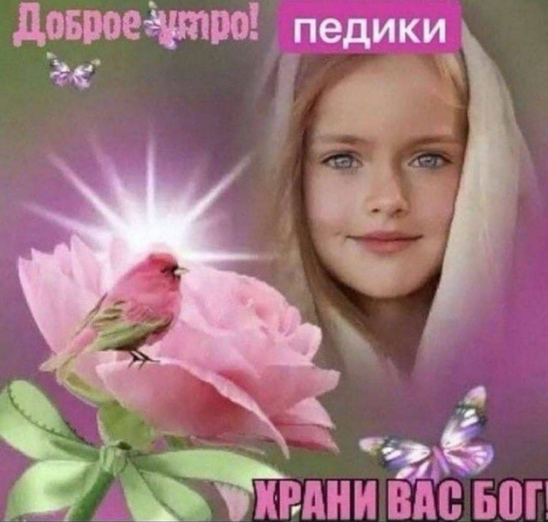 педики