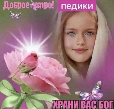 педики