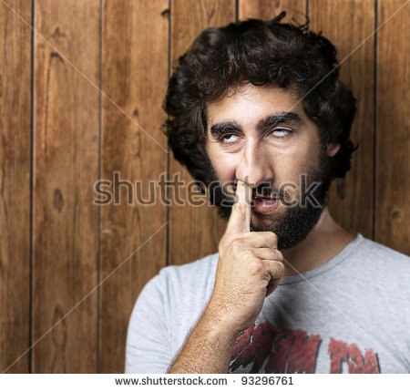 93296761