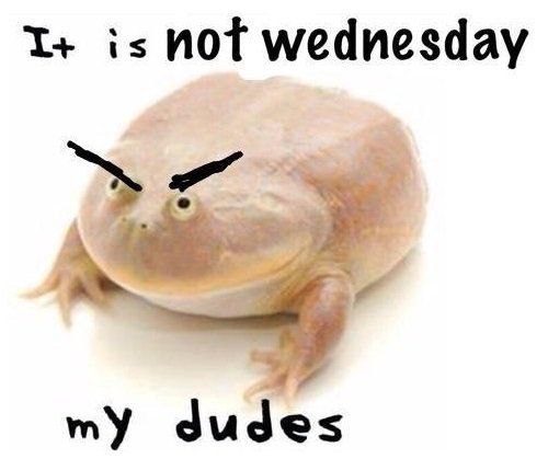 is not wednesday "У dudes