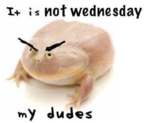 is not wednesday "У dudes