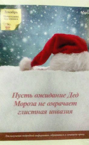 4 Пусть ожидание Дед Мороза не глистная инвазия
