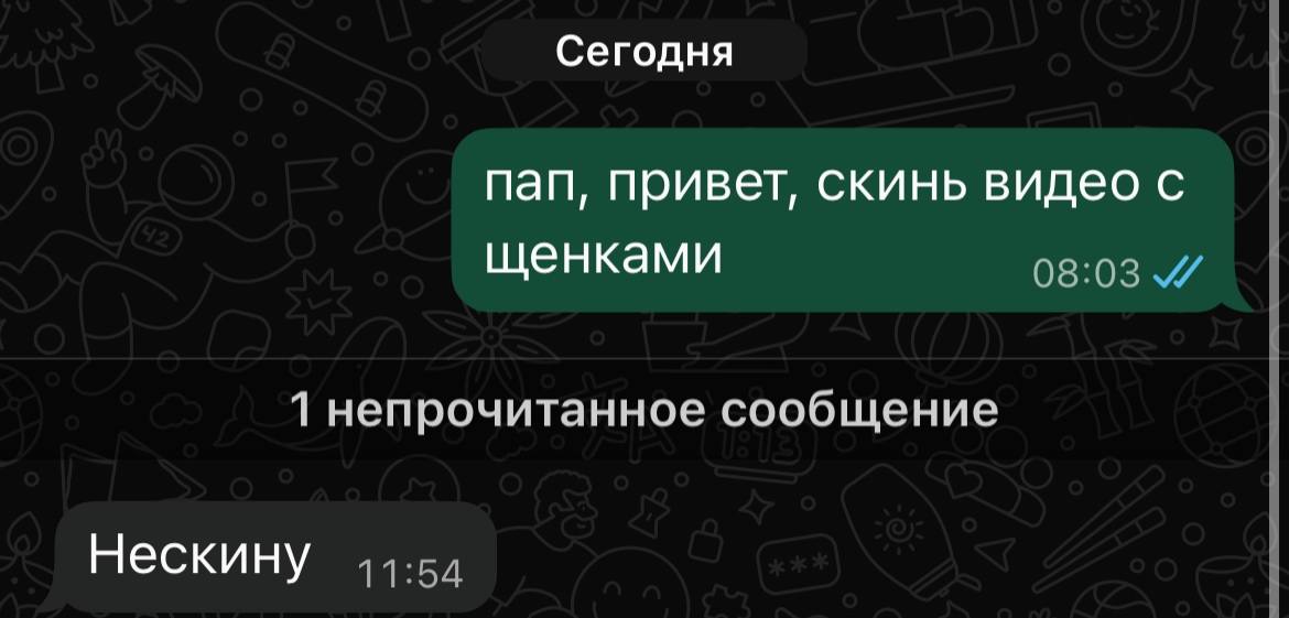 Сегодня пап, привет, скинь видео с щенками 1 непрочитанное сообщение Нескину