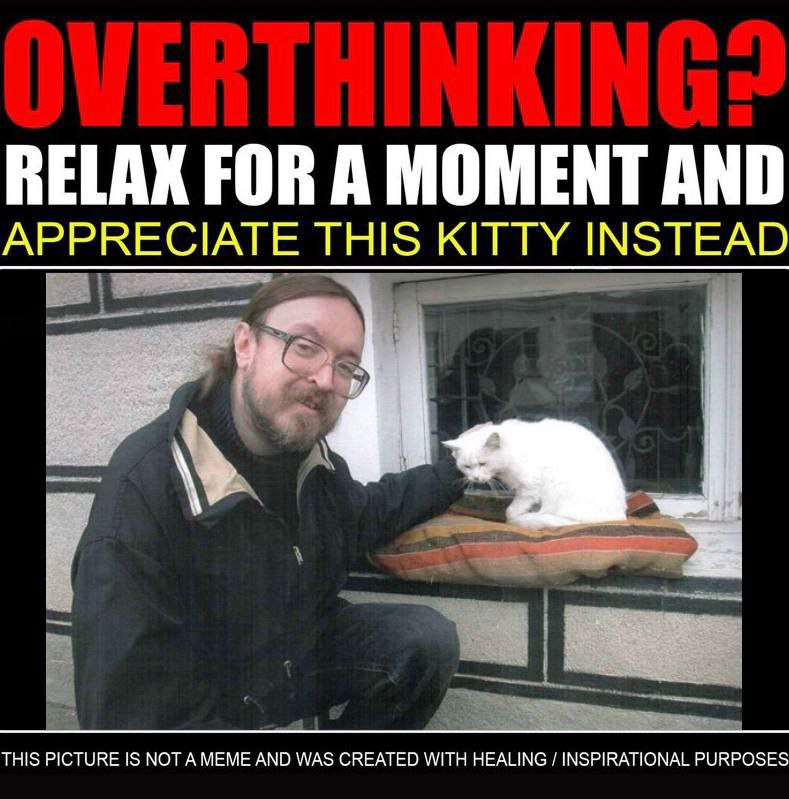 RELAX FOR А MOMENT AND APPRECIATE THIS KITTY INSTEAD THIS PICTURE IS МОТ А МЕМЕ AND WAS CREATED WITH HEALING INSPIRATIONAL PURPOSES