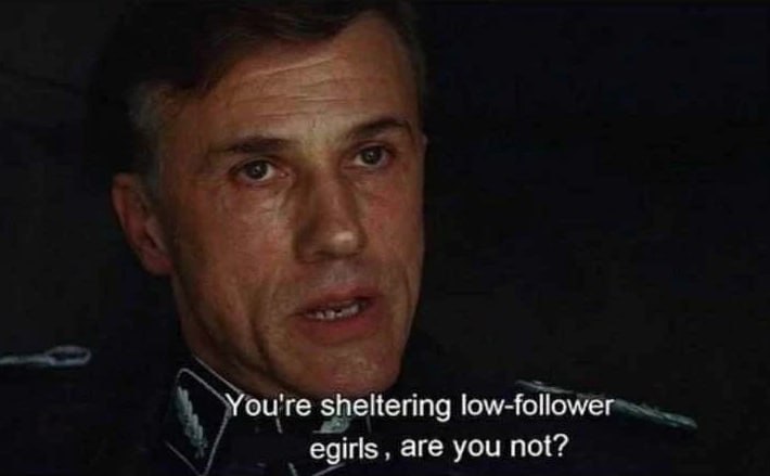 You're sheltering low-follower egirls, are you not?