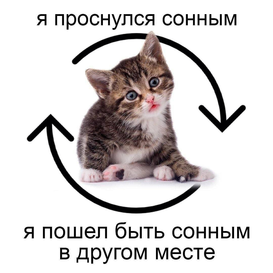 я проснулся сонным я пошел быть сонным в другом месте