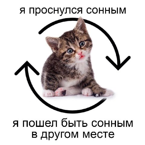 я проснулся сонным я пошел быть сонным в другом месте