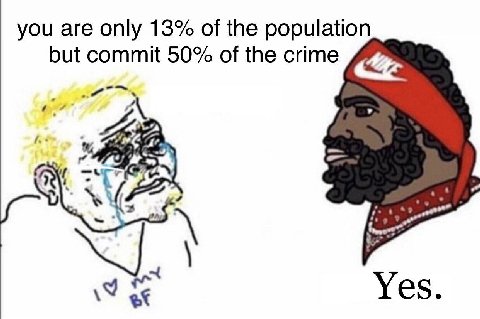 you are only 13% of the population but commit 50% of the crime WEG Yes.