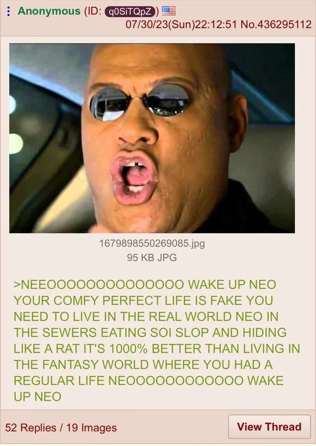 Anonymous 07/30/23(Sun)22:12:51 No.436295112 1679898550269085.jpg 95 JPG >МЕЕОООООООООООООО WAKE UP NEO YOUR COMFY PERFECT LIFE IS FAKE YOU NEED TO LIVE IN THE REAL WORLD NEO IN THE SEWERS EATING SOI 