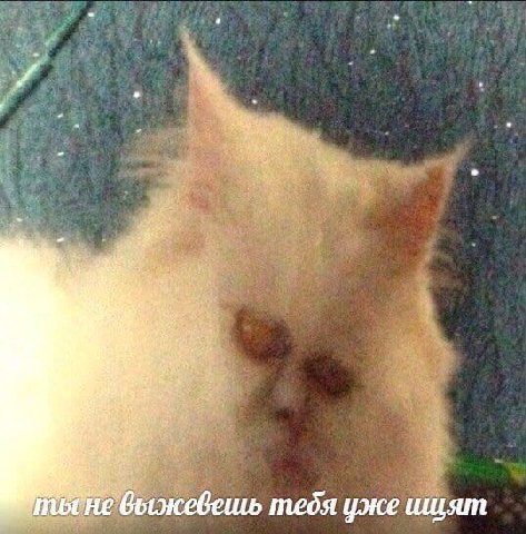 и 3 a быжевешь тебя уже шият
