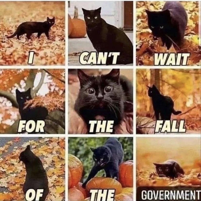 CAN'T WAIT К РОВ ТНЕ FALL THE. GOVERNMENT