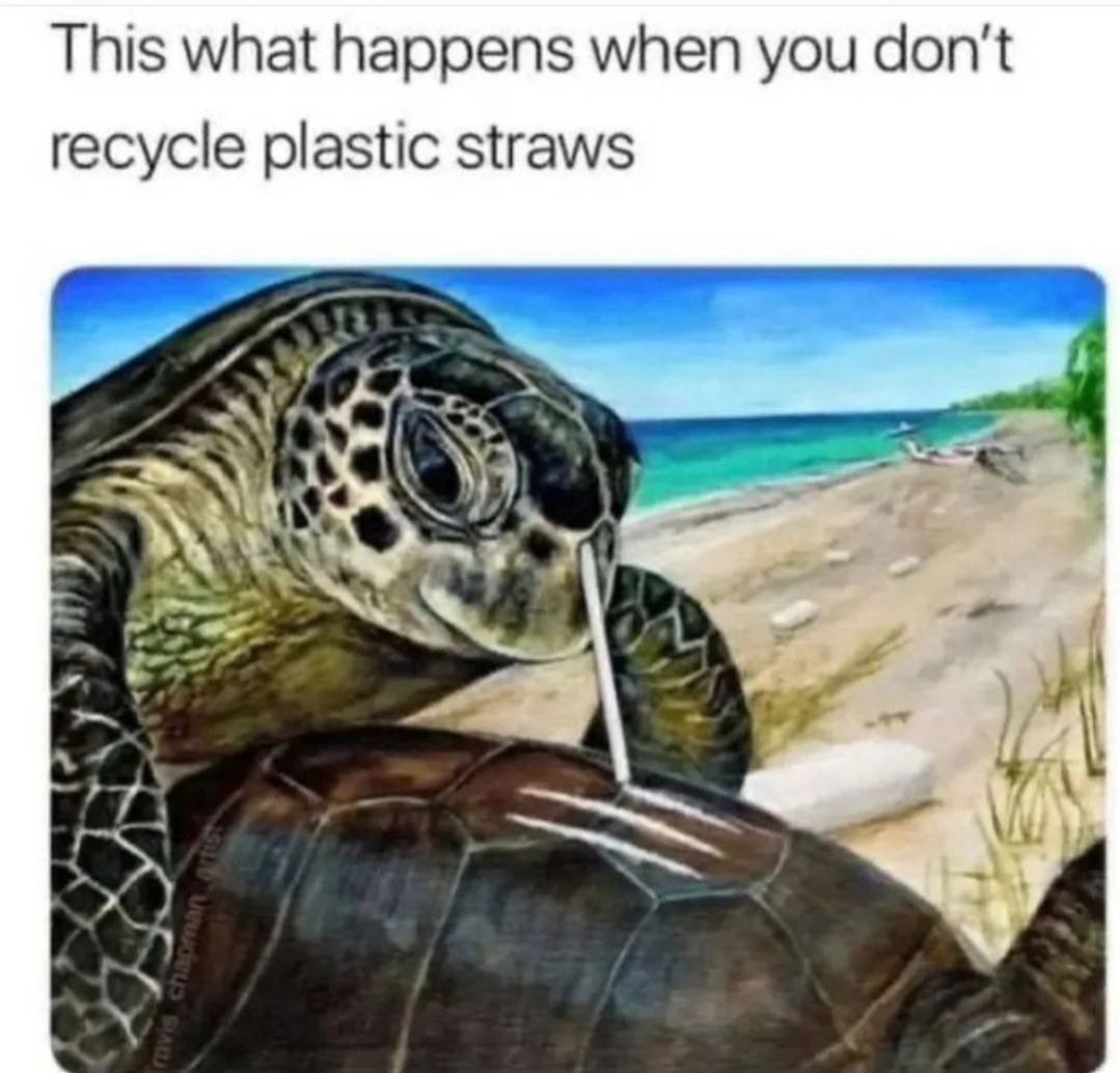 This what happens when you don't recycle plastic straws У У