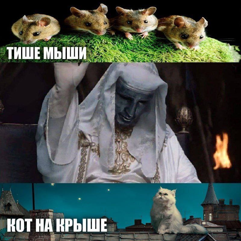 4 a ТИШЕМЫШИ А“ 2 4 Sor КОТНА КРЫШЕ