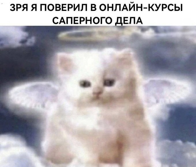 ЗРЯ Я ПОВЕРИЛ В ОНЛАЙН-КУРСЫ САПЕРНОГО ДЕПА 4 a