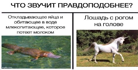 ЧТО ЗВУЧИТ ПРАВДОПОДОБНЕЕ? Откладывающее яйца и Лошадь с рогом обитающее в воде на голове млекопитающее, которое потеет молоком