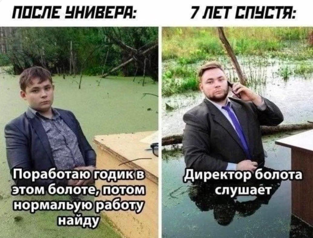 ПОСЛЕ ЧНИВЕРА: 7 СПУСТЯ: ректор болота Поработаю годик этом болоте, потом слушает нормальую работу наиду