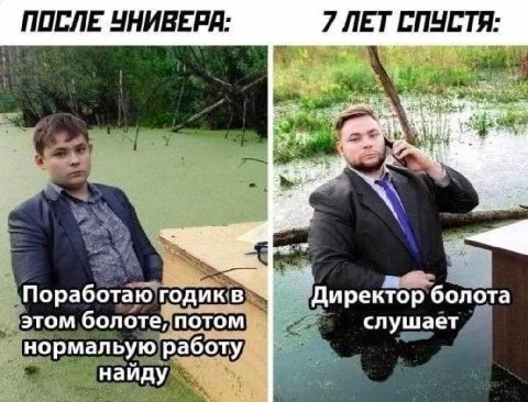 ПОСЛЕ ЧНИВЕРА: 7 СПУСТЯ: ректор болота Поработаю годик этом болоте, потом слушает нормальую работу наиду