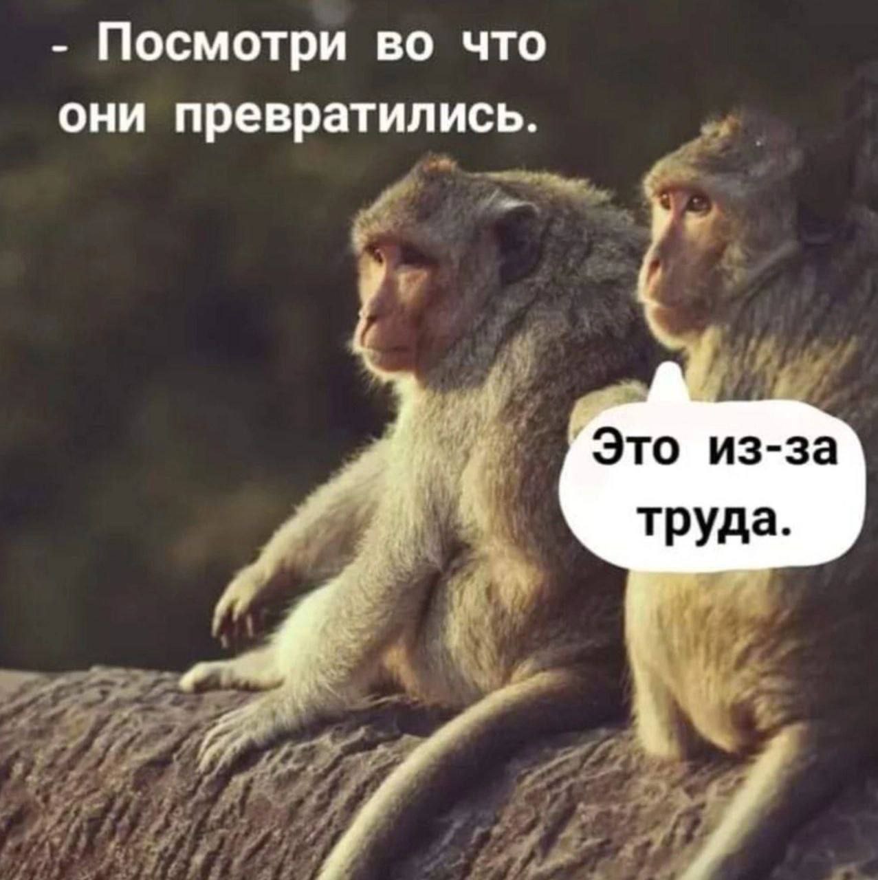 Посмотри во что они превратились. Это из-за труда.