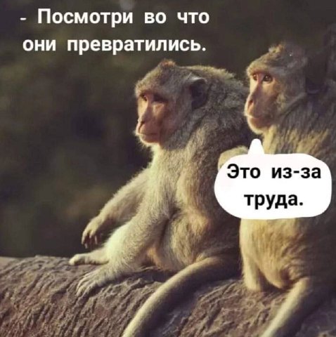 Посмотри во что они превратились. Это из-за труда.