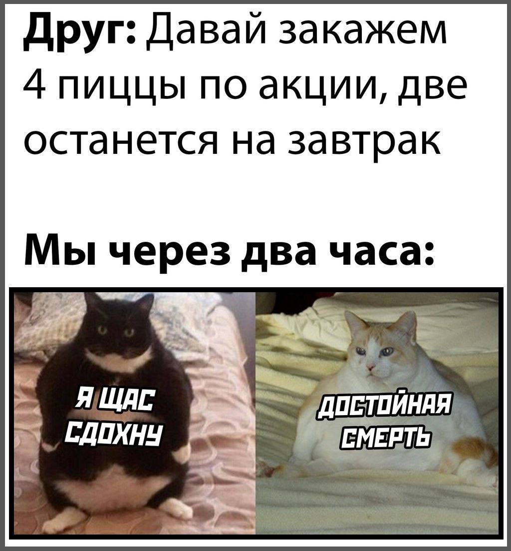 Друг: Давай закажем 4 пиццы по акции, две останется на завтрак Мыч два часа. ДОСТОИНАЯ СМЕРТЬ СДОХНУ