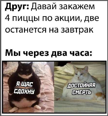 Друг: Давай закажем 4 пиццы по акции, две останется на завтрак Мыч два часа. ДОСТОИНАЯ СМЕРТЬ СДОХНУ