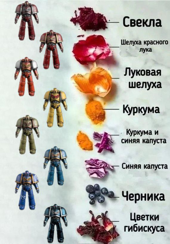 Свекла Шелуха красного Луковая шелуха Куркума Куркума и синяя капуста Синяя капуста Черника Цветки гибискуса
