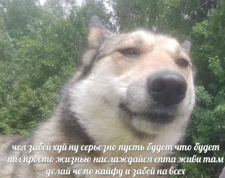 у хуй ну серьезно пусть будет что dygem живи там жизнью наслаждаися епта делай че по кайфу и забей на всех