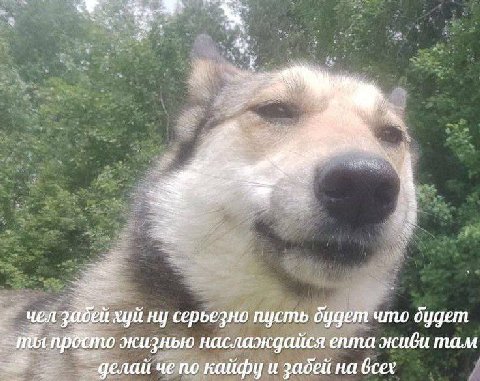 у хуй ну серьезно пусть будет что dygem живи там жизнью наслаждаися епта делай че по кайфу и забей на всех