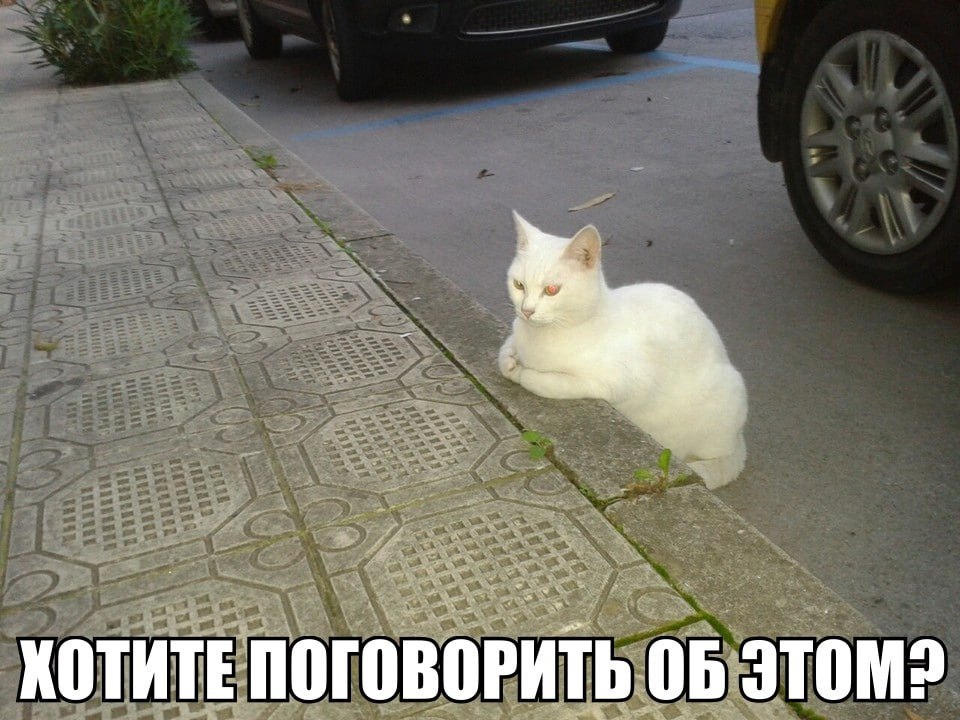 ХОТИТЕ ПОГОВОРИТЬ ОБ