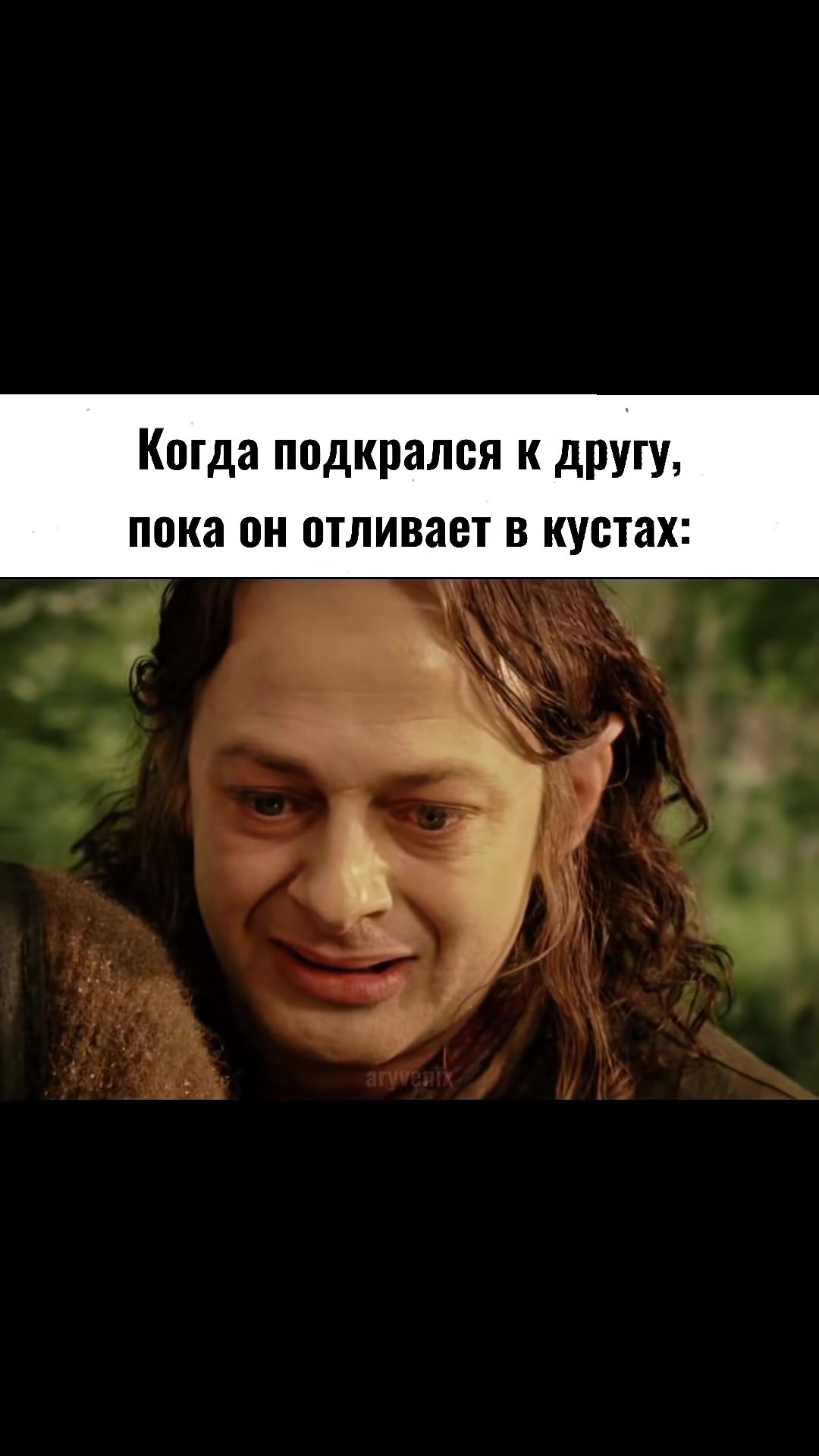 Когда подкрался к другу, пока он отливает в кустах: