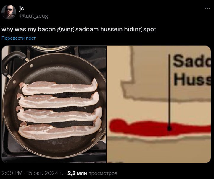 @laut_zeug why was my bacon giving saddam hussein hiding spot Перевести пост ESS Sadc Huss 2:09 15 окт. 2024 2,2 млн просмотров