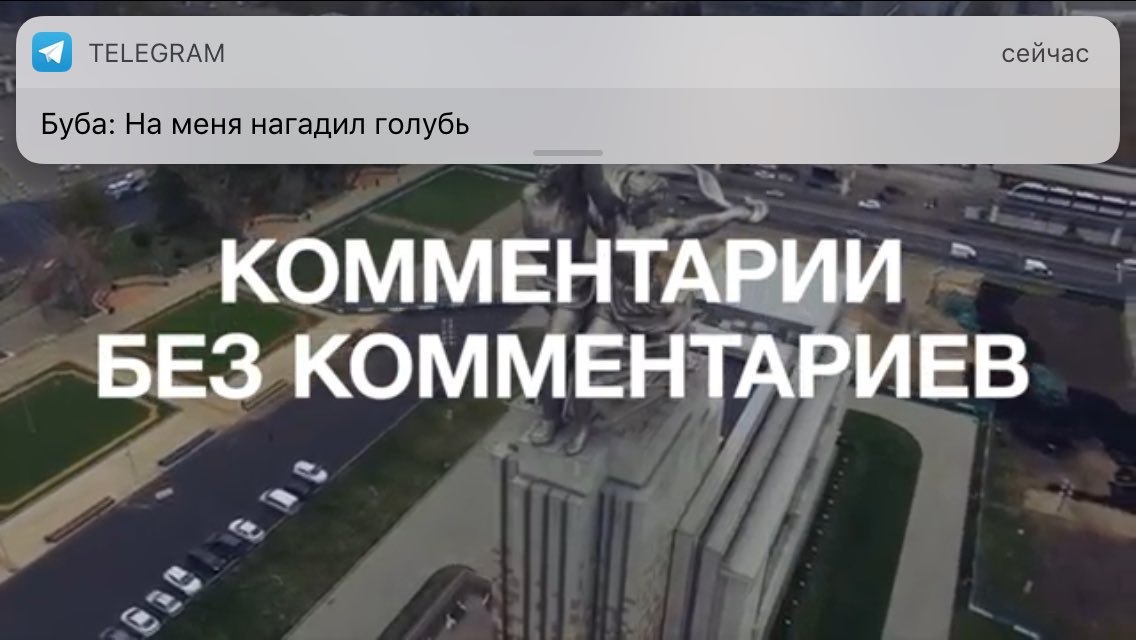 Вы) TELEGRAM сейчас Буба: На меня нагадил голубь КОММЕНТ BE3*KOMMEH ИЕВ