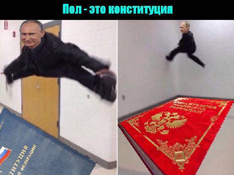 Пол это конституция 1 у
