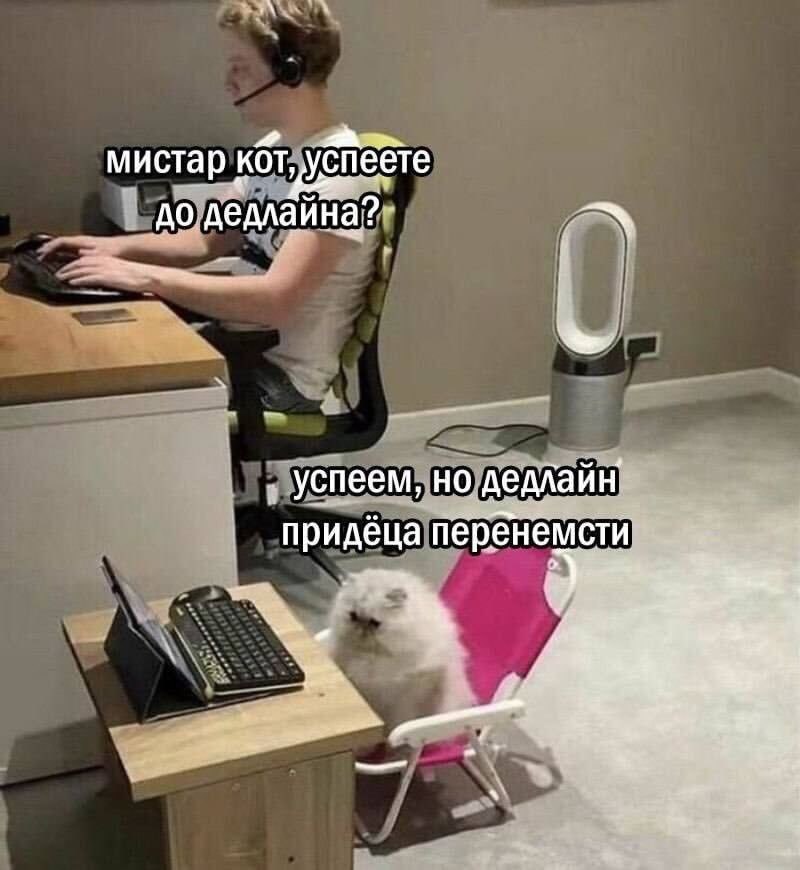 мистар кот, ‚успеете 1 додедлай нар" придёца перенемсти