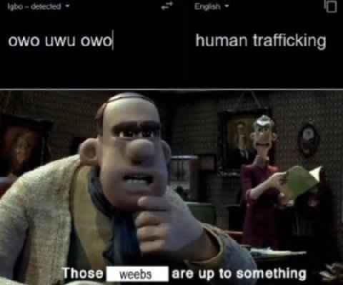 ИМИ OWO human trafficking Those are up to ething