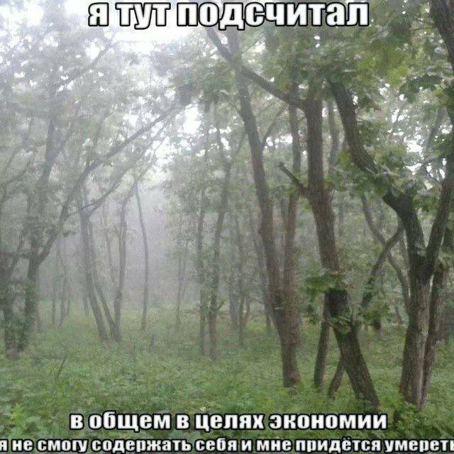 no С читал yay 2 А. я мый в общем в целях экономии я не смогу содержать мне придется умерети