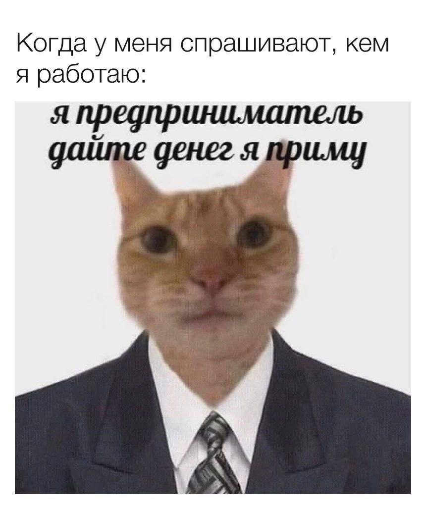 Когда у меня спрашивают, кем я работаю: я предприниматель денег я