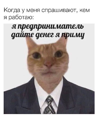 Когда у меня спрашивают, кем я работаю: я предприниматель денег я
