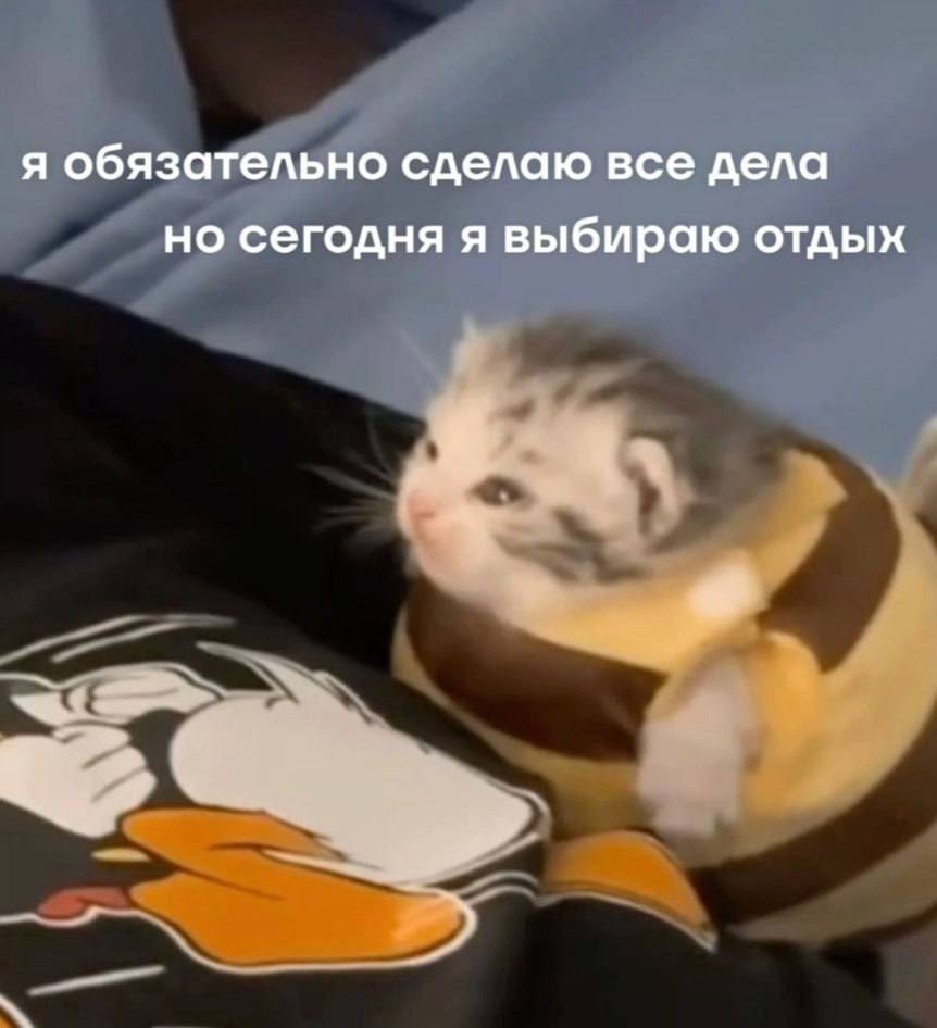 я обязательно сделаю все дела но сегодня я выбираю отдых