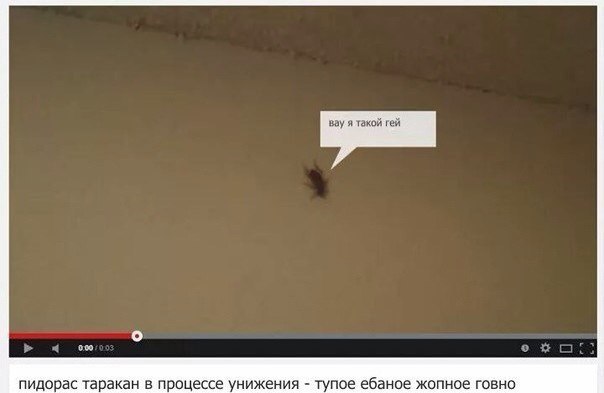 вау я такой гей 000 пидорас таракан в процессе унижения тупое ебаное жопное говно