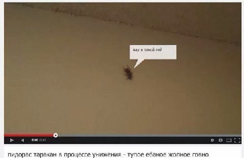 вау я такой гей 000 пидорас таракан в процессе унижения тупое ебаное жопное говно
