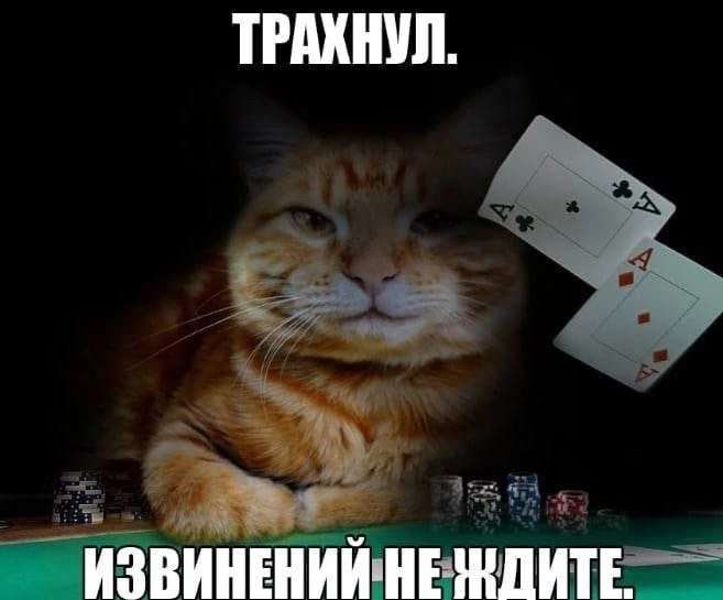 ТРАХНУЛ. ИЗВИНЕНИЙ НЕ